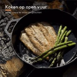 Ocina Gietijzeren Pan – ø30,5cm - Skillet - Koekenpan – Hapjespan – Koekenpan Inductie – Koekenpannenset - Gietijzeren Pan Bbq - Gietijzer -Tefal Shop 1200x1200 124