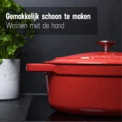 Daumonet Bocuse Rouge Gietijzeren Braadpan - Sudderpan Kersen Rood - Ovaal - Ø 29 Cm - 3 Liter - PFAS & PFOA Vrij - Emaille - Geschikt Voor Alle Warmtebronnen - Elektrisch - Gas - Halogeen - Inductie - Keramisch - Vaatwasserbestendig -Tefal Shop 1200x1200 852