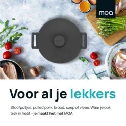 MOA Gietijzeren Braadpan - Inhoud 4,75 Liter - 26CM - Rond - Alle Warmtebronnen - Ook Voor Inductie - Gewicht 5,8 Kg - Zwart - MOAMC26B -Tefal Shop 1200x1200 910