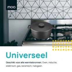 MOA Gietijzeren Braadpan - Inhoud 4,75 Liter - 26CM - Rond - Alle Warmtebronnen - Ook Voor Inductie - Gewicht 5,8 Kg - Zwart - MOAMC26B -Tefal Shop 1200x1200 913
