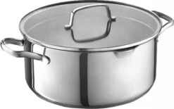 Masterchef - RVS Braadpan Met Glazen Deksel - 20 Cm