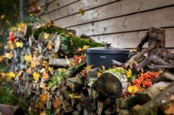 Tefal Trattoria Braadpan - Ø28 Cm - Inclusief Deksel -Tefal Shop 1200x799 57