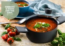 ISENVI Avon Keramische Kookpan 20 CM - Ergo Greep -Tefal Shop 1200x851 2