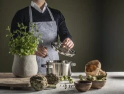 Sola Pannenset Juvia - 4 Delig - Ø 16,16,18,20 Cm - Zilver - RVS - Sandwichbodem -Tefal Shop 1200x911