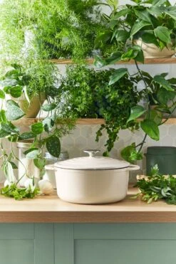 Tefal LOV Braadpan - 5L - Ø25 Cm - Beige -Tefal Shop 800x1200 21