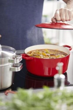 BK Bourgogne Braadpan Ø 28 Cm - Rood - Gietijzer - Inductie -Tefal Shop 800x1200 25